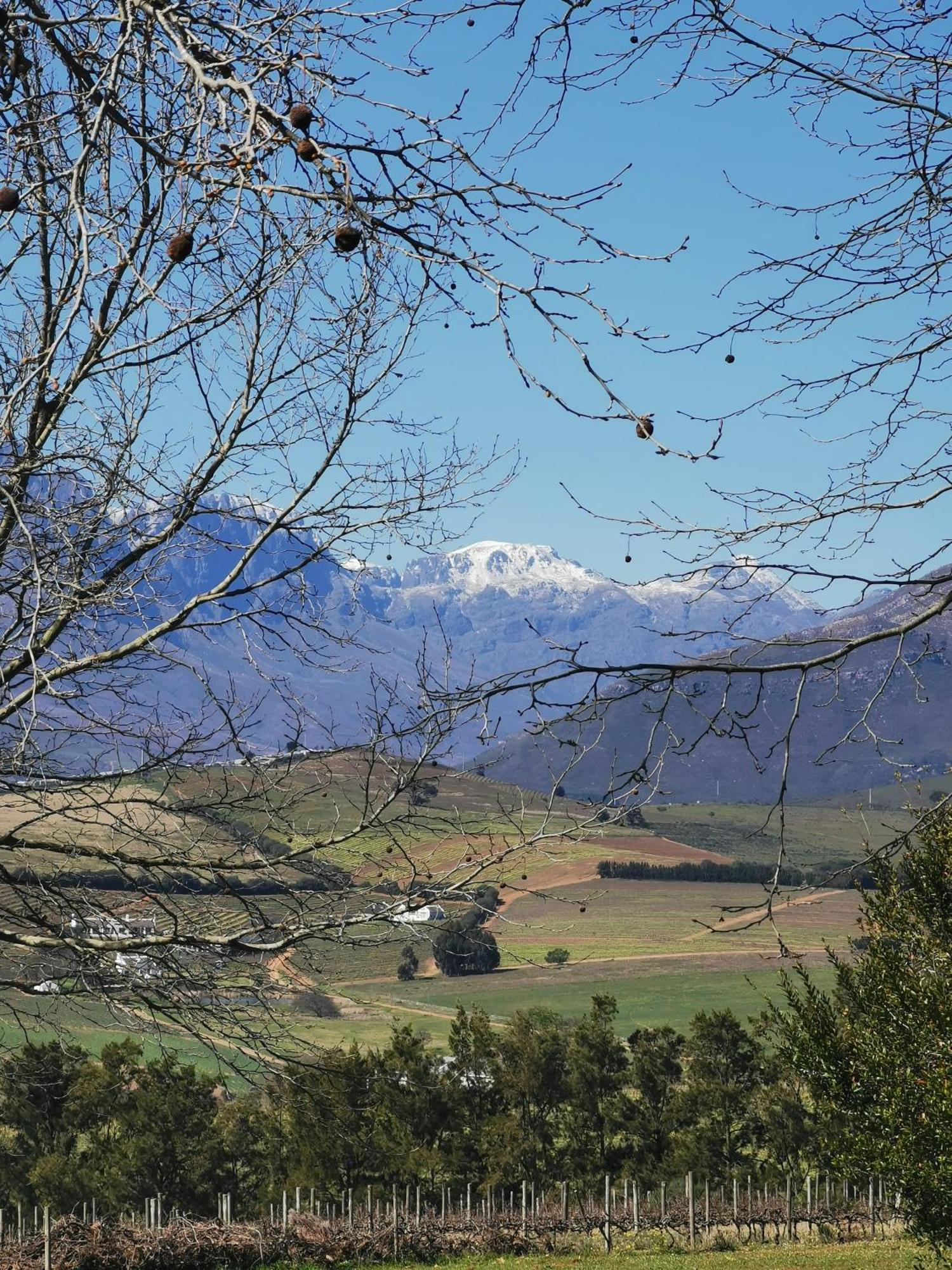 Gemoedsrus Farm Villa Stellenbosch Luaran gambar